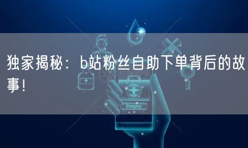 独家揭秘：b站粉丝自助下单背后的故事！