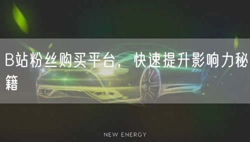 B站粉丝购买平台，快速提升影响力秘籍
