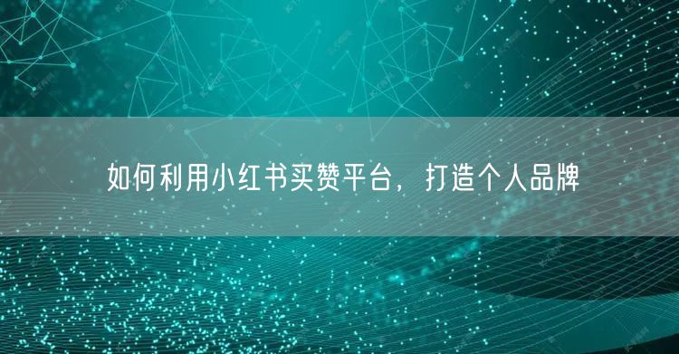 如何利用小红书买赞平台，打造个人品牌