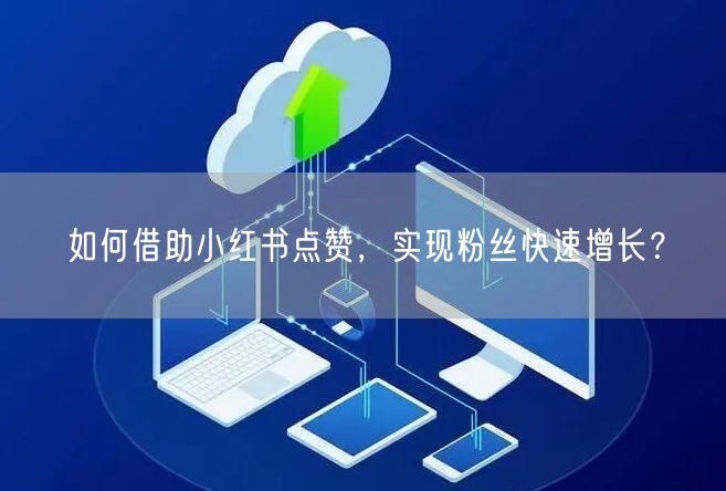 如何借助小红书点赞，实现粉丝快速增长？