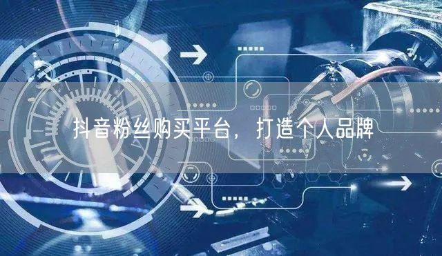 抖音粉丝购买平台，打造个人品牌